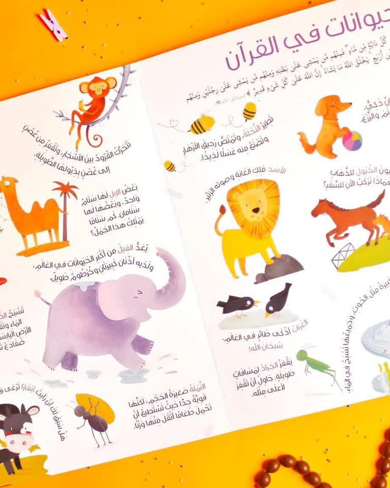 كلماتي الأولى من القرآن الكريم